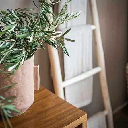 Apartamento Jable De Lujo En El Centro