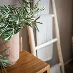 Апартаменты Jable De Lujo En El Centro